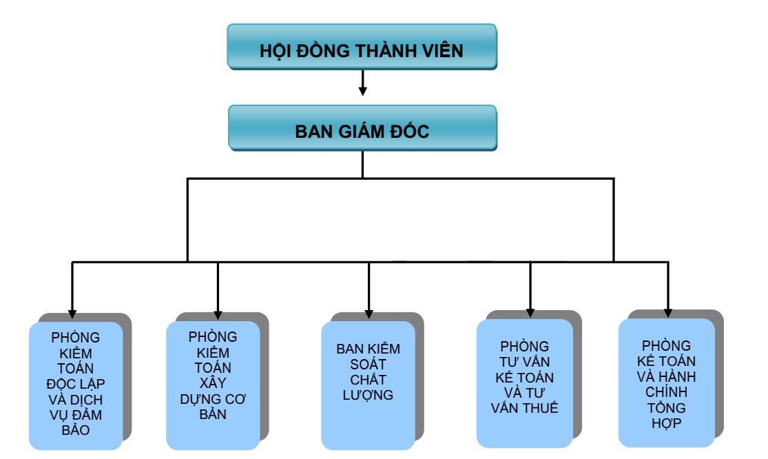 Sơ đồ tổ chức Công ty TNHH Kiểm toán và Định giá Châu Á